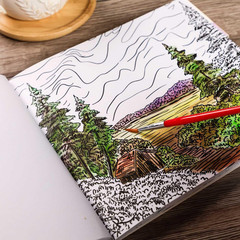 Bob Ross Paint with Water