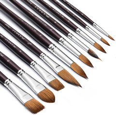 Sable Watercolor Brushes, Professional 10Pcs Sable Paint Brush Set Variety Shape