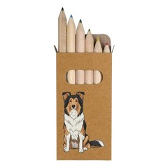 6 x ‘Collie Dog Sitting’ Short 85mm Pencils / Coloured Pencil Set (PE00091360)