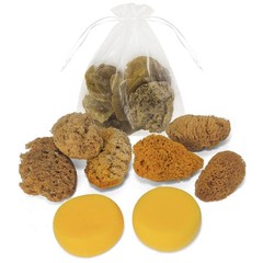 Natural Sea & Synthetic Sponges – Assorted Sizes 8pc Value Pack for Crafts & …