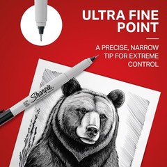 2 Pack Ultra Fine Point Black Permanent Markers – Non Toxic & Smear Resistant