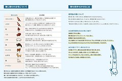 Namurataiseidou Design Brush BGW Maru Gothic No.4from JP