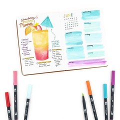 Tombow 56189 Dual Brush Pen Art Markers, Tropical, 10-Pack. Blendable, Brush and