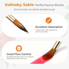 Watercolor Paint Brushes Professional, 8Pcs Kolinsky Sable Performance Travel…