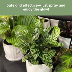 Chrysal Leafshine 25oz aerosol Bonus Size 25% More from Holland Formely