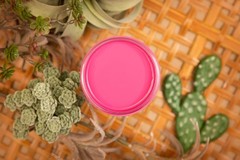 Dixie Belle – Silk Paint Prickly Pear 16oz- FREE SHIPPING!