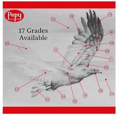 Pepy Graphite Professional Drawing Pencil Set of 12 HB Pre-Sharpened Pencils