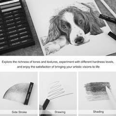 Diverse 24 Pro Charcoal Sticks Set with Pastels – For Artists & Beginners