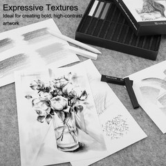 Diverse 24 Pro Charcoal Sticks Set with Pastels – For Artists & Beginners
