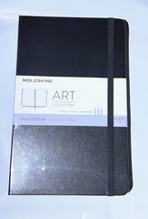 Moleskine Art Sketchbook, Hard Cover, Large (5″ x 8.25″) Plain/Blank, Black, 104