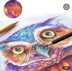 Flowood 160 Watercolor Expert Pencils, Art, Artist, Drawing, Coloring, Craft