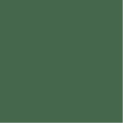DECO ART TRADITIONS ACRYLIC PAINT – PINE GREEN 2 TUBES 2.5 OZ EA ONE PRICE