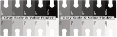 Color Wheel 245557 3505 Gray Scale and Value 1 Count (Pack of 2), Black/White