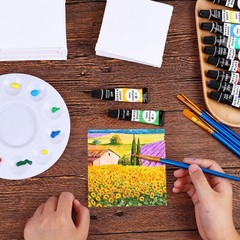 Small Canvases for Painting 6×6 inch 12 Pack Canvas Boards Cotton Painting Ca…