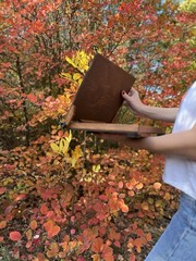 Portable Pochade Box Easel 14x10in Plein Air Travel Paint Box For Painter