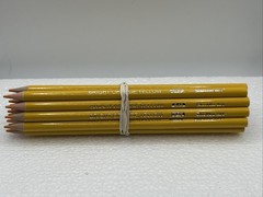 (20 COUNT) BRIGHT ORANGE YELLOW 049 – Shuttle Art Colored Pencils