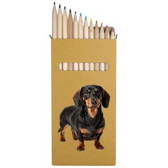 12 x ‘Dachshund’ Long 178mm Coloured Pencils / Pencil Set (PE00089419)