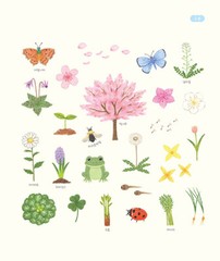 Ramzy’s Colored Pencil Illustration 4000 for Beginner – Korean Guide
