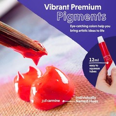 Acrylic Paint Set for and Artists – 24 Pack of 12Ml Paints with 3 Art Brushes,