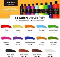 14 Colors Large Bulk Acrylic Paint Set 16.9 oz,500 ml Rich Art Painting Suppl…