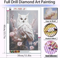 AIBOERL Owl Diamond Art Kits for Adults,Flower 5D 12×16 inches, DP02429