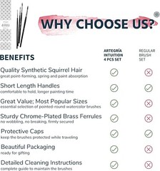 Round Watercolor Paint Brushes Squirrel Hair Professional Artist
