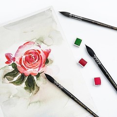 3PCS Squirrel Hair Watercolor Brushes, Professional Mop Round Quill Detail Fi…