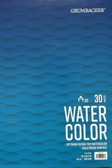 100 ACEO Cards ~ Blank 140 lb Watercolor Paper ~ 2.5 x 3.5 White ~ Grumbacher