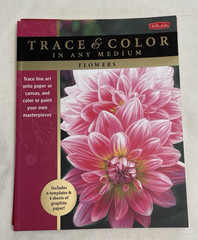Art Instruction Book Lot 5 Trace & Color In Any Medium Painting Walter Foster