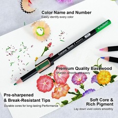 Artistic 72 Colored Pencils – Soft Core for Effortless Blending & Shading