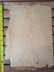 Antique 1850 Italian Award Certificate “Coppa dell’Amicizia” Turin C31