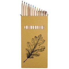 12 x ‘Simple Oak Leaf’ Long 178mm Coloured Pencils / Pencil Set (PE00094155)
