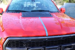 303 Products – – Paint And – On Rinse Off Refill For