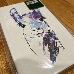 Llama Sketch Book Barnes & Noble Exclusive 72 Pgs Faux Leather Cover