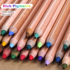 Pro Pastel Chalk Colored Pencils Set of 50 Colors Color Charcoal Pencils for