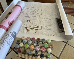Pink Picasso Paint By Number Kit SENSITIVE SUCCULENTS aso Shark Tank PLEASE READ