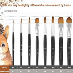 Watercolor Brushes Set 8Pcs Sable Paint Brush Variety Shapes Flat Round Pointed