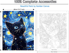 Paint by Numbers Kit for Adults Beginner Black Cat, Paint by Number on Canvas DI