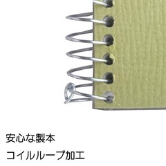 Maruman Drawing Block Olive Series Sketchbook B3 Thick Paper 20 Sheets S2A