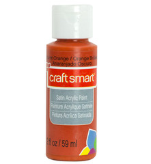 Craft Smart All-Purpose Satin Acrylic Paint 2 fl oz – Burnt Orange