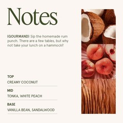 LA JOLIE MUSE Island Coconut Scented Candle – Coconut, Peach &