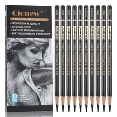 Professional Charcoal Pencils Drawing Set – 10 10 Count (Pack of 1), Black