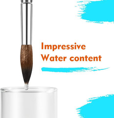 Synthetic Sable Blend Nature Hair Watercolor Brushes-12Pcs Paint Brush Set- roun