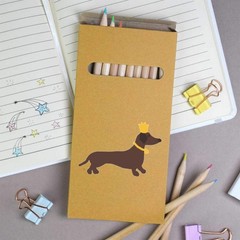 12 x ‘His Majesty The Dachshund ‘ Long Colour Pencils (PE00086049)