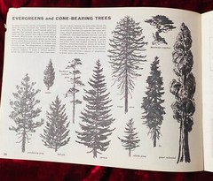 LEARN TO DRAW LANDSCAPES: Vol 2 by Jon Gnagy ~VNTG CLASSIC INSTRCTN! ~softcover