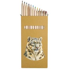 12 x ‘Snow Leopard Portrait’ Long Colour Pencils (PE00079291)