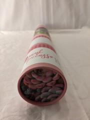 NEW Pink Picasso Art Kit – Sensitive Succulent 20-Hour Project 16×20″ Canvas NIB