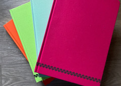 Jane Davenort Art Journal Lot Watercolor Back to Fuchsia Bright Thoughts Smooth
