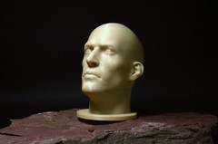 Male Realistic Head Bust – Portrait Reference Tool – Multiple Sizes
