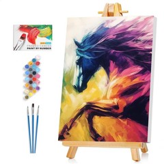 Framed Paint by Numbers Kit for Adults Beginner & Kids Ages 812, Abstract Hor…
